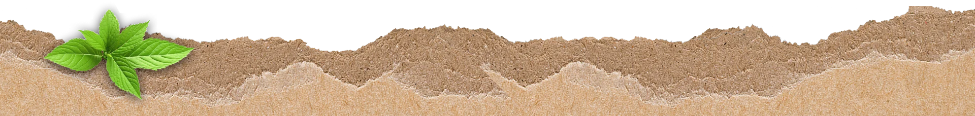 Footer Banner